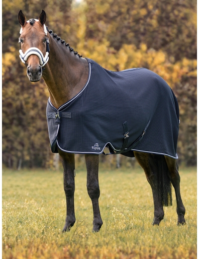 CLIMATE CONTROL - BLUE TECH WALKING RUG WITH DETACHABLE INTERNAL SURCINGLE