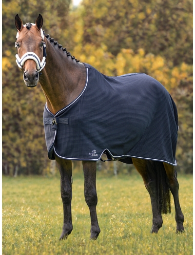 CLIMATE CONTROL - BLUE TECH WALKING RUG / DETACHABLE INTERNAL SURCINGLE