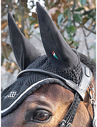 BLACK ROUNDED BROWBAND