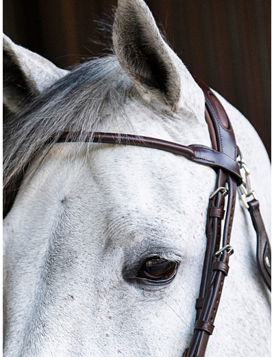 BROWN ROUNDED BROWBAND