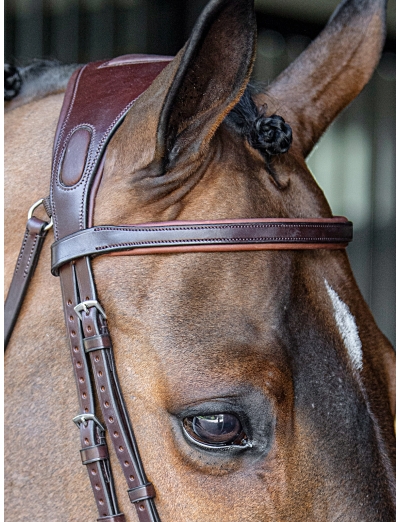 BROWN FLAT LEATHER BROWBAND