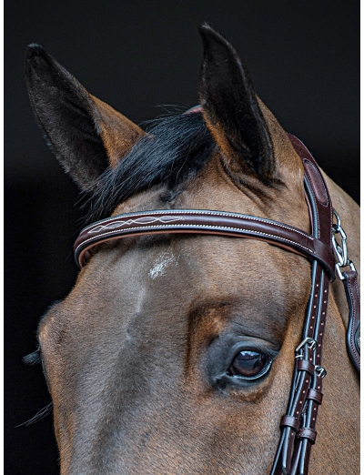 BROWN FLAT PADDED LEATHER BROWBAND WITH STITCHES