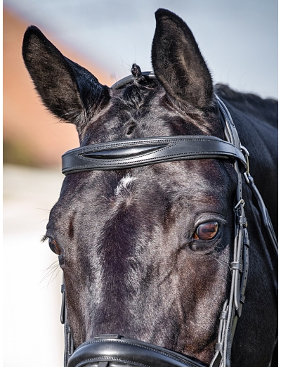 BLACK FLAT PADDED LEATHER BROWBAND WITH PATENT DETAIL