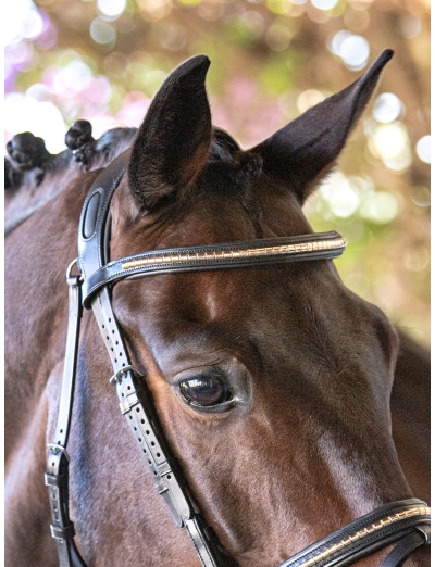 FRONTALINO CON CLINCHER ORO   NERO