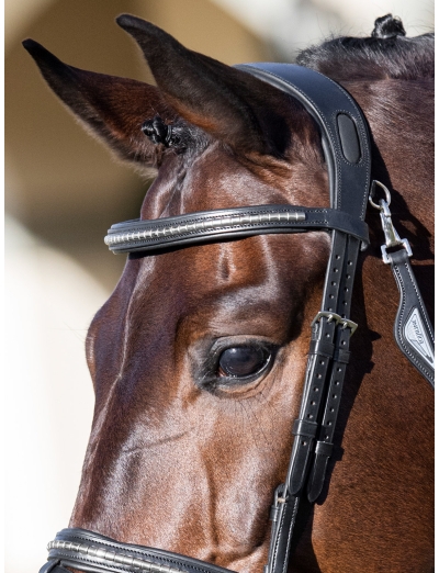 BLACK BROWBAND WITH SILVER CLINCHER