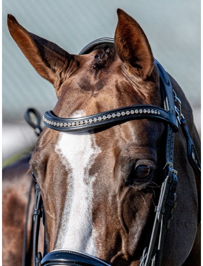 BLACK SWEEPING “U” SHAPED BROWBAND WITH RHINESTONE