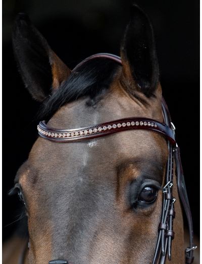 BROWN SWEEPING “U” SHAPED BROWBAND WITH RHINESTONE