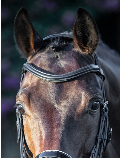 BLACK SWEEPING “U” SHAPED BROWBAND