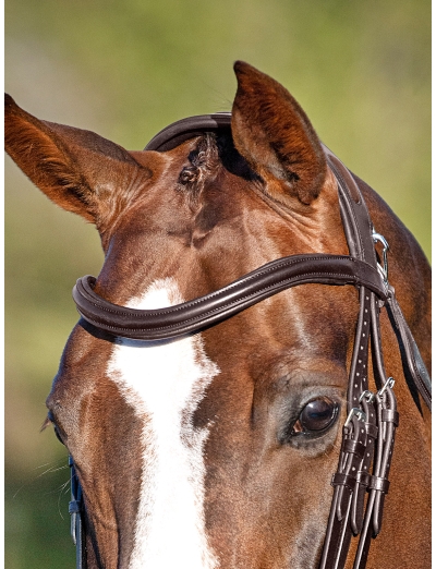 BROWN SWEEPING “U” SHAPED BROWBAND