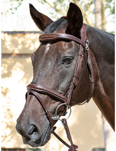 BROWN READY TO RIDE JUMPING BRIDLE