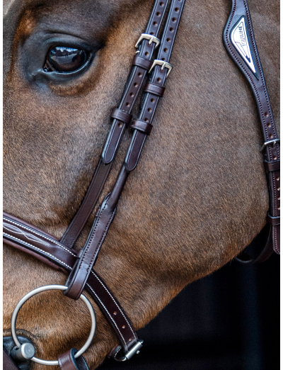 BROWN ROUNDED CHEECKPIECES TWO TIES