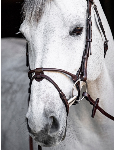 BROWN ROUNDED NOSEBAND WITH REMOVABLE FLASH STRAP