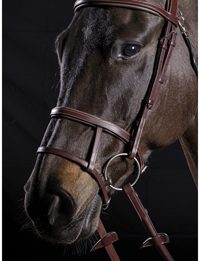 BROWN DOUBLE NOSEBAND WITH LATERAL ATTACHMENT FOR THE FLASH STRAP