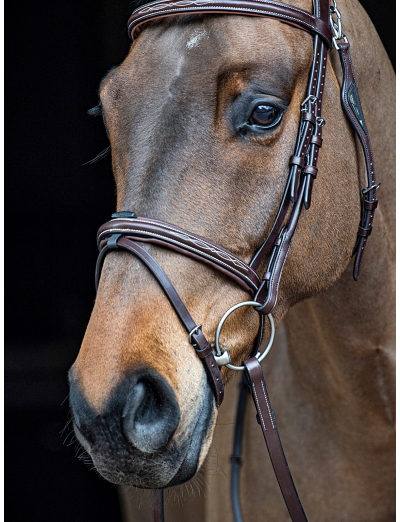 BROWN NOSEBAND WITH REMOVABLE RUBBER INSERT LOOP FOR FLASH STRAP