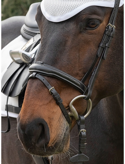 BLACK NOSEBAND WITH REMOVABLE RUBBER INSERT LOOP FOR FLASH STRAP