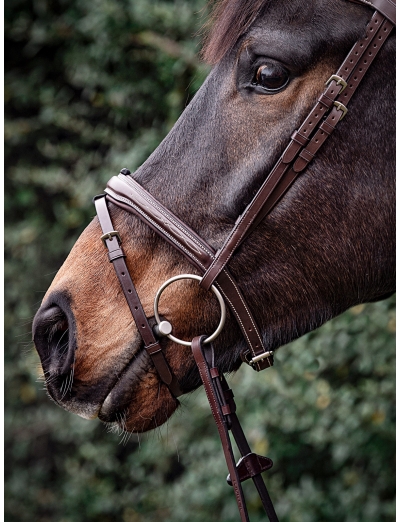 BROWN NOSEBAND WITH REMOVABLE RUBBER INSERT LOOP FOR FLASH STRAP