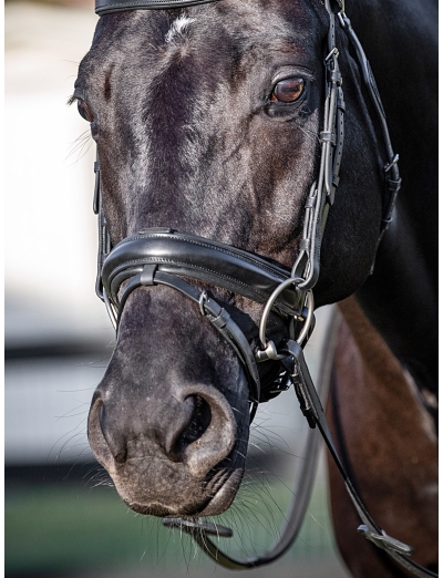 BLACK MATCHING LINED CRANK NOSEBAND WITH REMOVABLE RUBBER INSERT LOOP