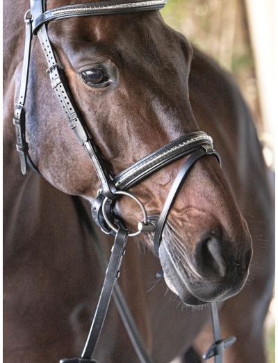 BLACK MATCHING LINED CRANK NOSEBAND WITH SILVER CLINCHER