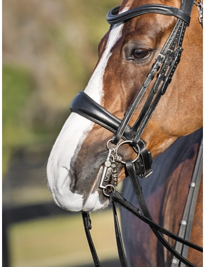 NOIR MUSEROLLE SUÉDOISE SOUPLE TRIANGULAIRE SANS NOSEBAND